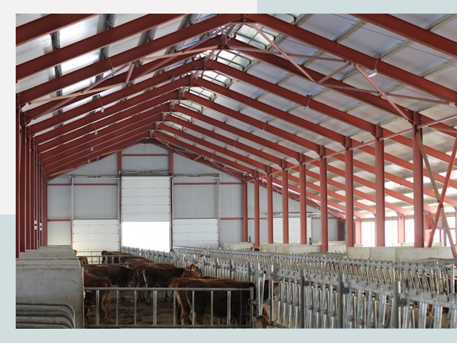 Строительство коровников в Конаково