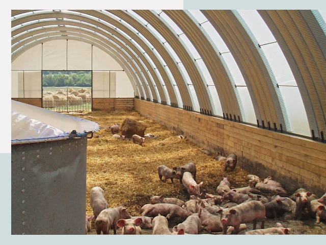 Строительство свинарников в Конаково